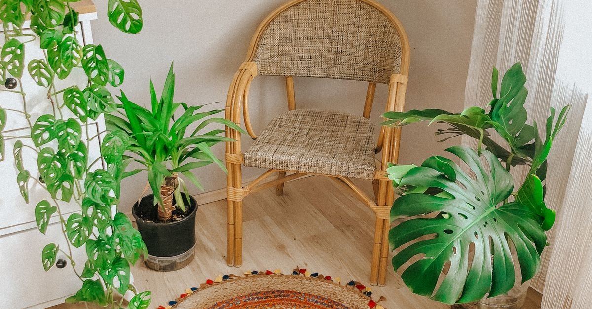 Boho Living Room Ideas: A Beginner’s Guide to Chic, Cozy Spaces